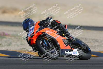 media/Feb-04-2023-SoCal Trackdays (Sat) [[8a776bf2c3]]/Turn 4 (Tree of Life 2pm)/